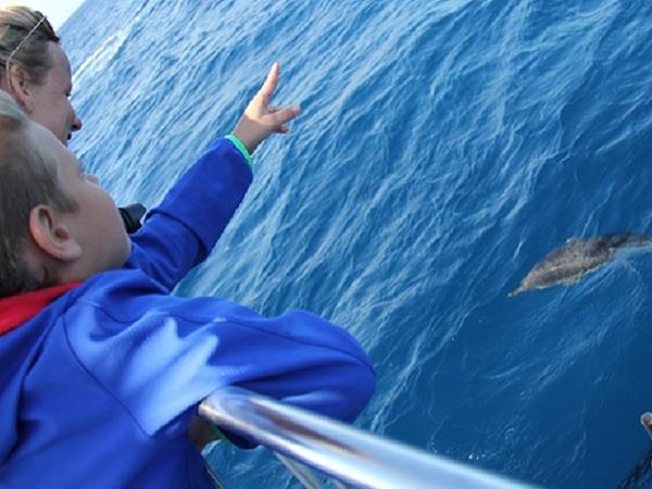 Family whale & dolphin watching vacation, Azores