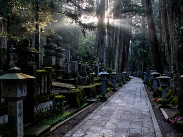 Japan north to south vacation small group