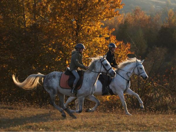 Carpathia horse riding vacation in Romania