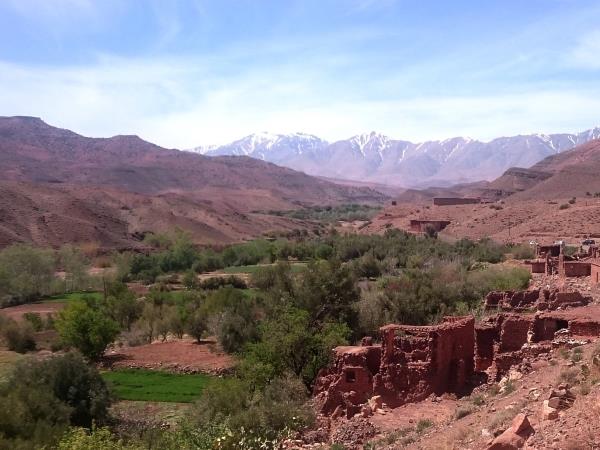 Painting vacation in Morocco