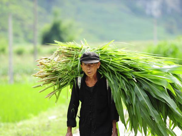 Vietnam off the beaten track vacation