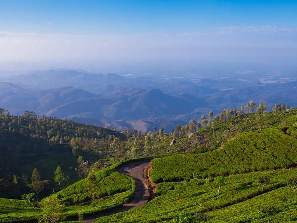 Sri Lanka hill country tour