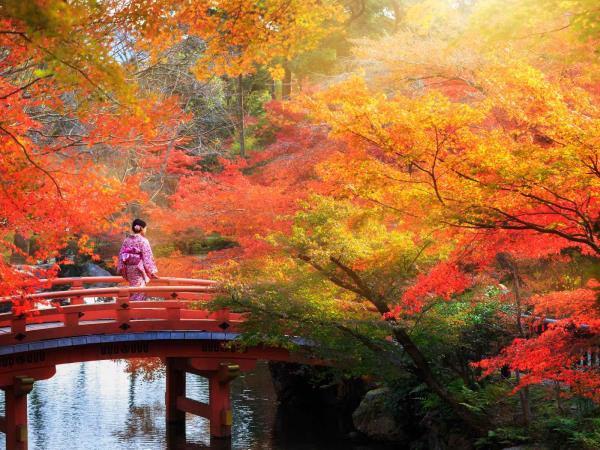 Japan luxury honeymoon, 14 days 