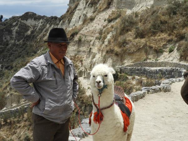 Ecuador and Galapagos tailor made vacation