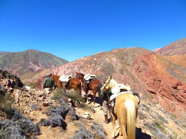 Argentina horseriding vacation in Province of Salta and Jujuy