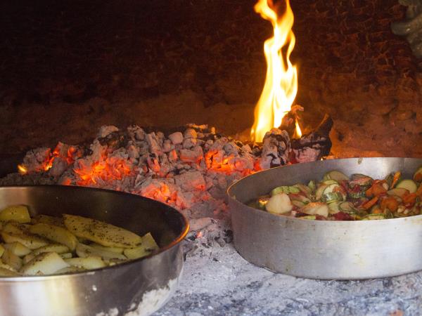 Nutritional food vacation in the Peloponnese