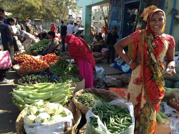 Vegan vacation in India