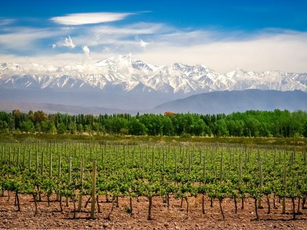 Honeymoon in Argentina
