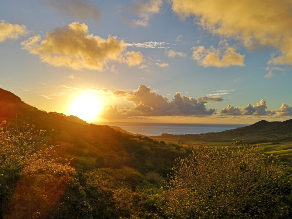 Mauritius honeymoon, tailor made