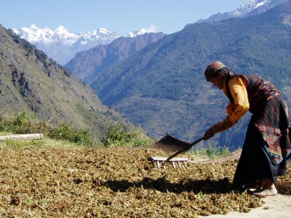 Langtang trekking tour in Nepal