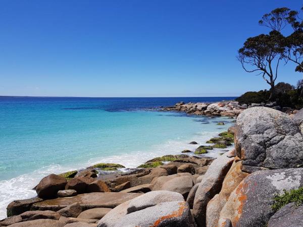 Tasmania small group tour, 13 days