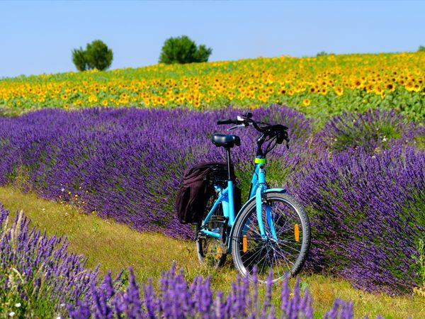 C�tes du Rh�ne cycling vacation in France