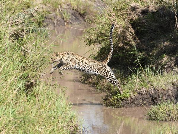 Northern Tanzania fly-in luxury safari