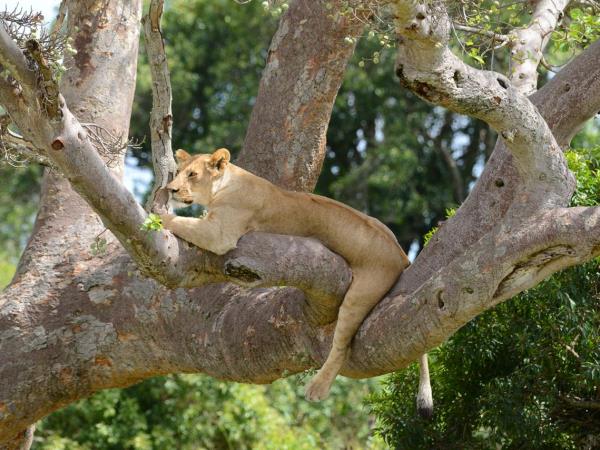Northern Tanzania private safari vacation