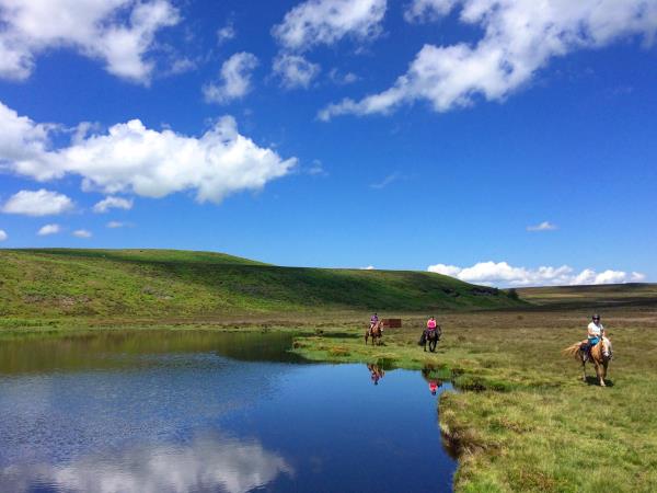Wye Valley horseriding vacation in Wales
