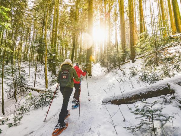 The best of Lapland in 4 nights/5 days
