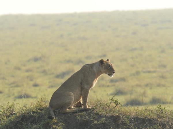 Highlights of Kenya luxury camping safari