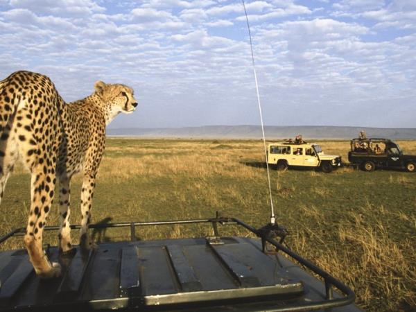 Kenya and Tanzania bespoke wildlife vacation