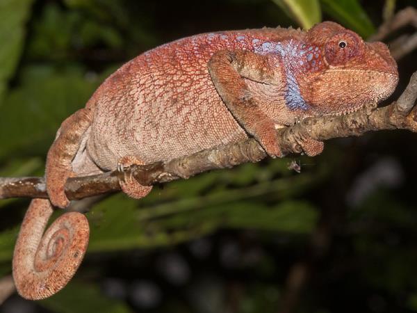 Tailor made vacation in Madagascar