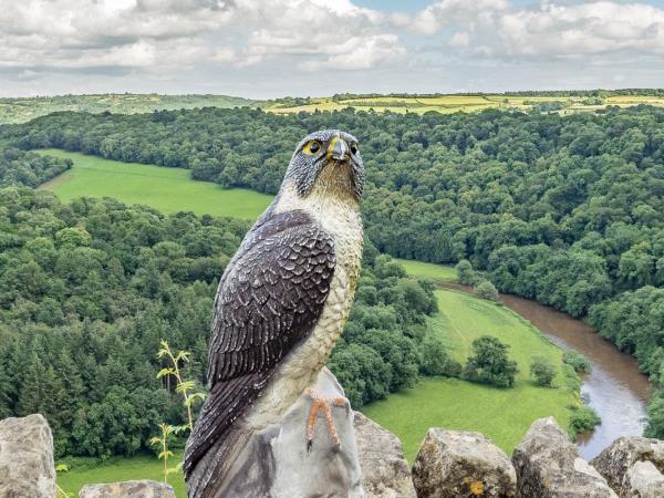 Offa's Dyke path walking vacation