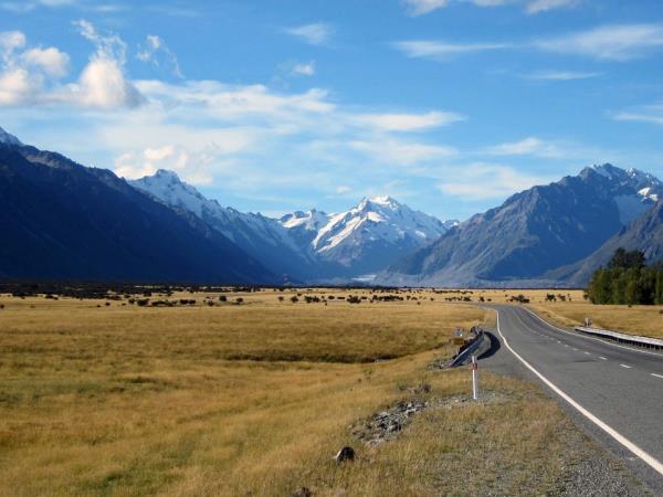 New Zealand self drive tour, 23 days