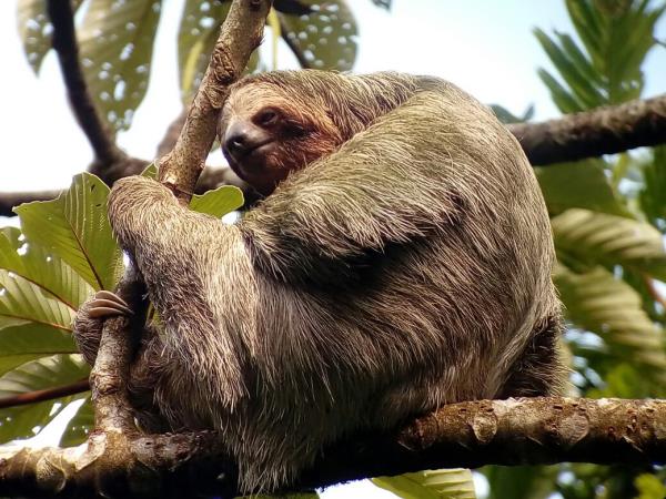 Costa Rica luxury tailormade vacation