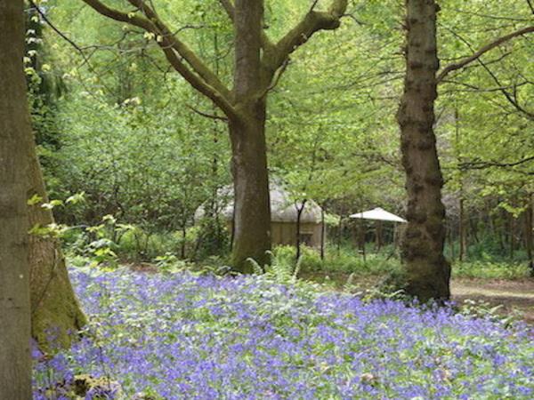 Luxury glamping holidays in Hampshire, England