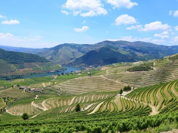 Highlights of Northern Portugal