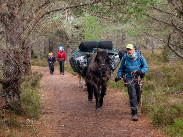 Cairngorms glamping and hiking vacation in Scotland