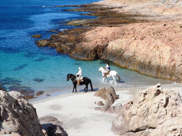 Remote Patagonia wildlife retreat
