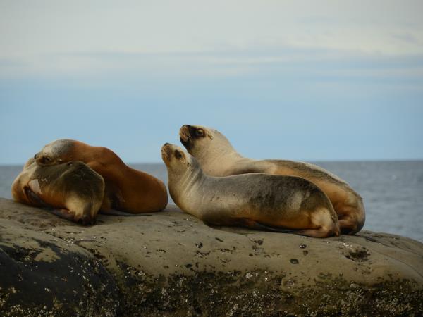 Patagonia family vacation