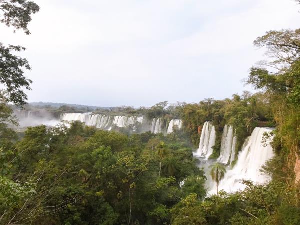 Ibera Wetlands wildlife vacation & Iguazu Falls