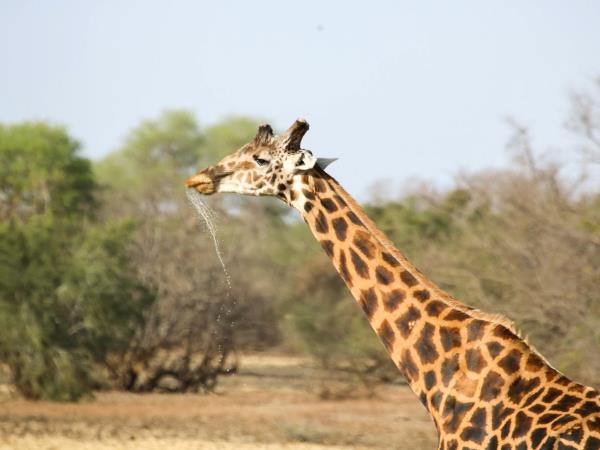 Cameroon vacations in 2023 & 2024 | Responsible Travel