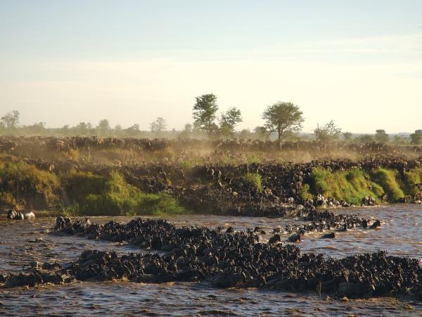 Great migration safari vacation in Tanzania