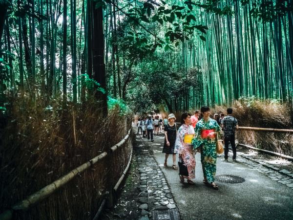Japan luxury small group tour 