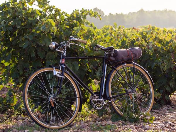 Champagne biking vacation, France