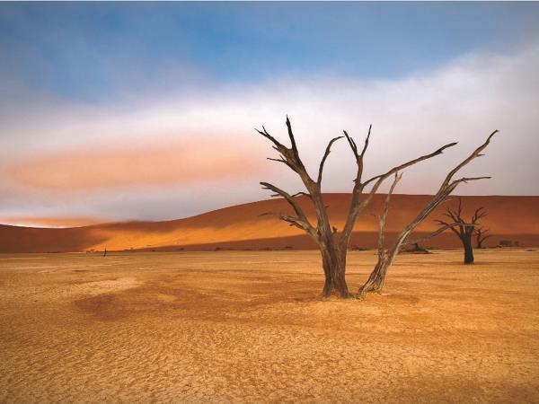 Namibia luxury self drive vacation