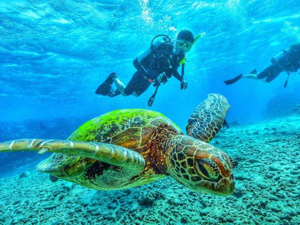 Galapagos diving and Ecuador trekking vacation