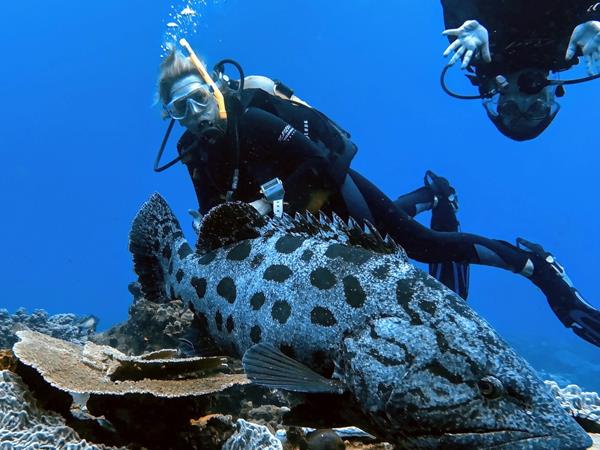 South Africa multi activity & adventure vacation