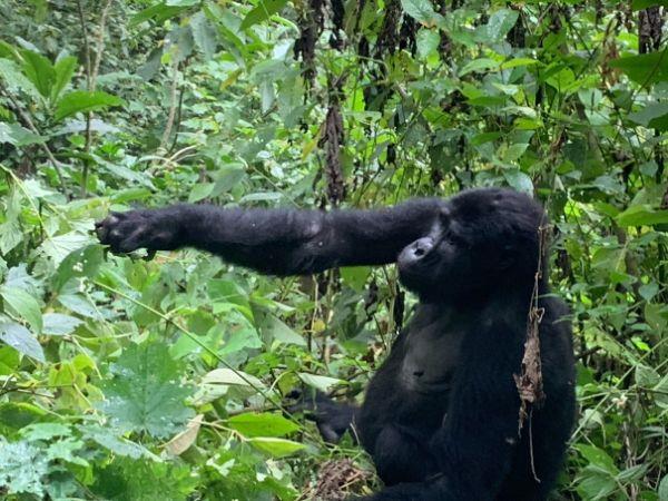 Uganda wildlife & cultural tour