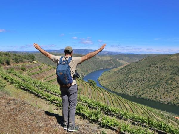 Self guided walking vacation in the Douro valley