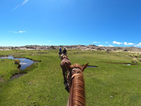 Horse riding trek in Argentina