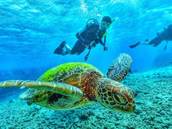 Galapagos eco cruising vacation