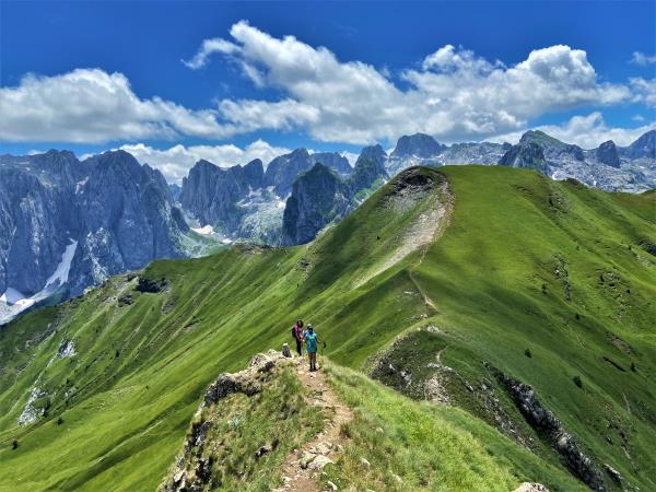 Hiking vacations outlet