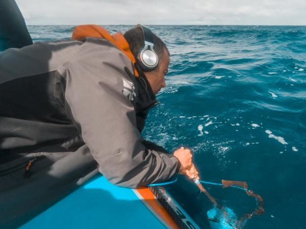 Marine mammals & biology vacation, Azores