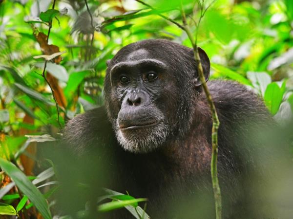 East Africa wildlife tour