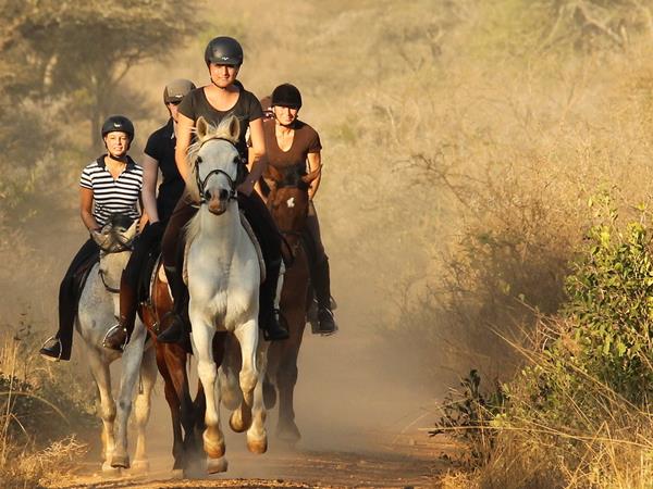 Horseback safari, South Africa