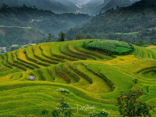 North Vietnam  Photography tour 