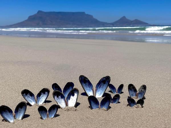 Community healthcare volunteering, South Africa