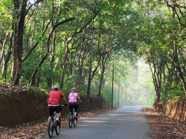 Cycling vacations hot sale